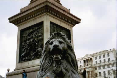 Lions on Trafalgar Square